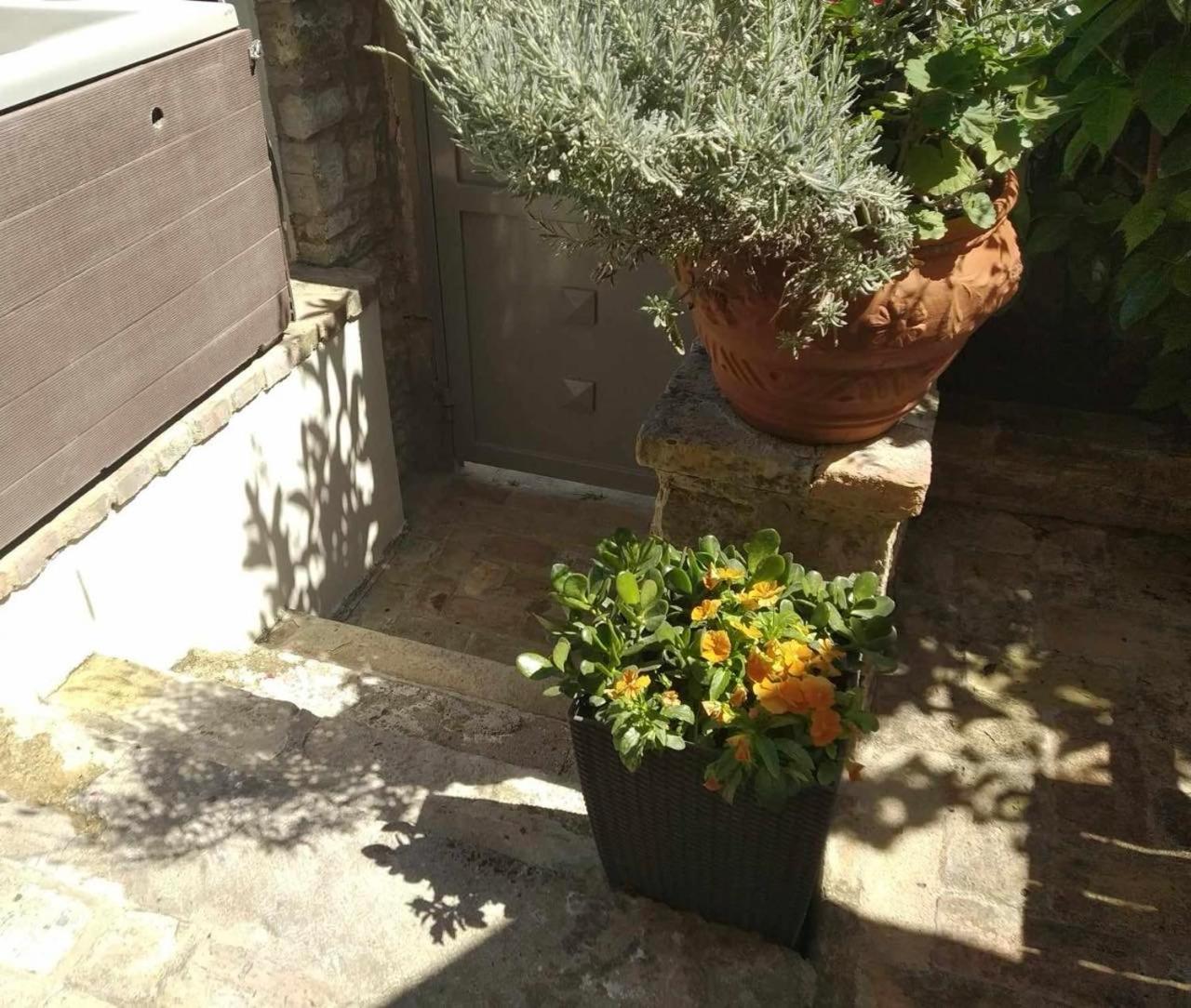 Anemomilos Jacuzzi Suite Corfu  Exteriér fotografie